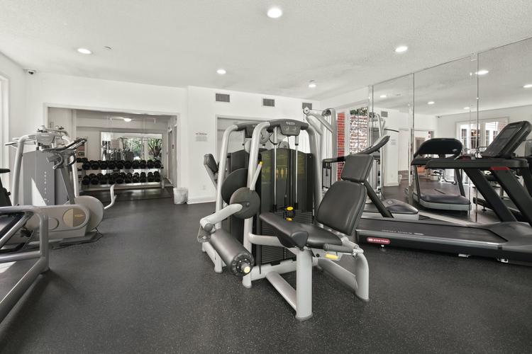 The Key Role of Digital Marketing for Fitness Industry