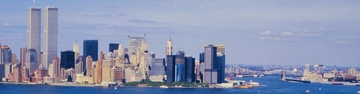 City skyline with twin towers beside the water under a pale blue sky.