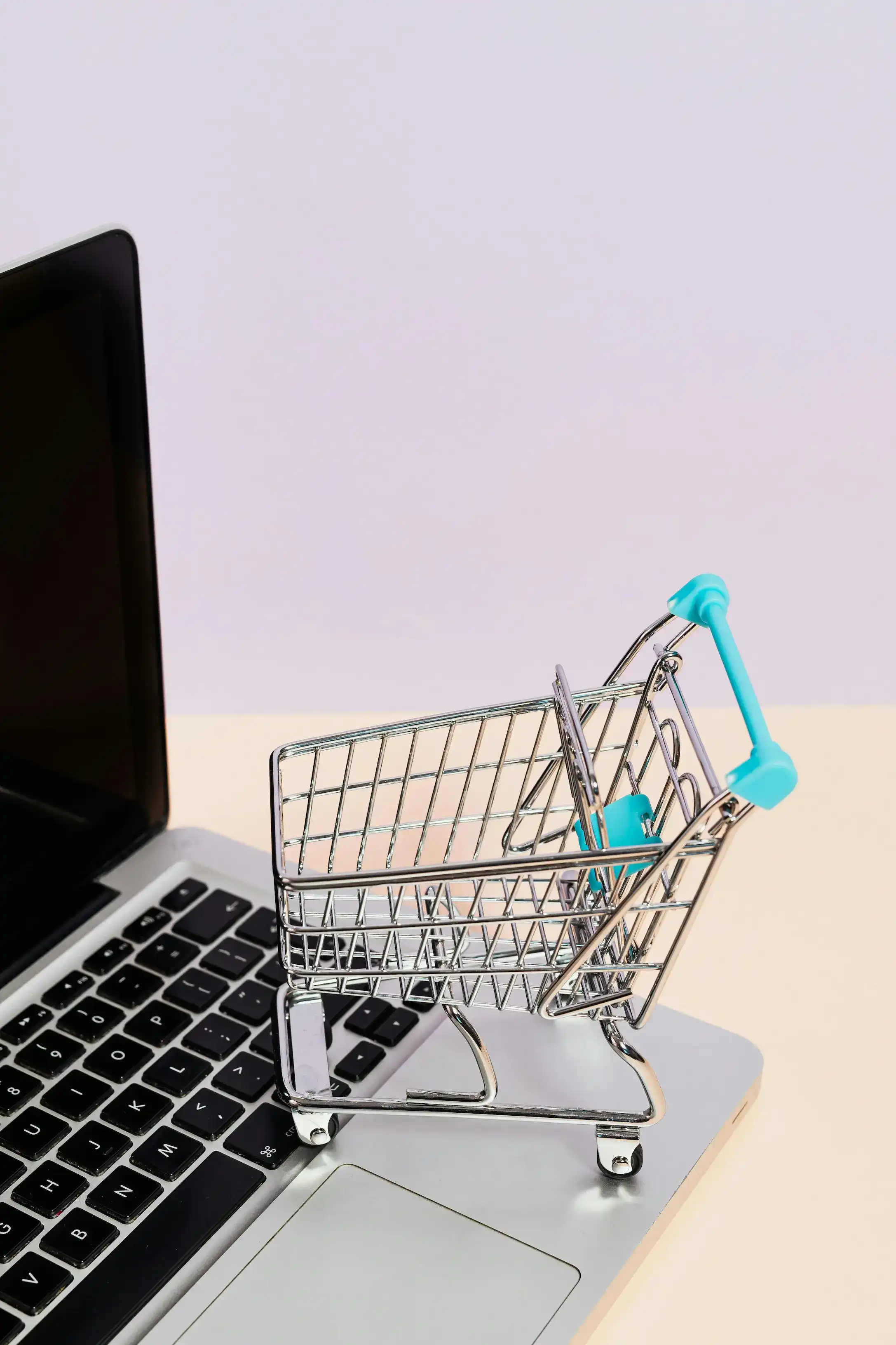 The Challenges Ecommerce SEO Solves