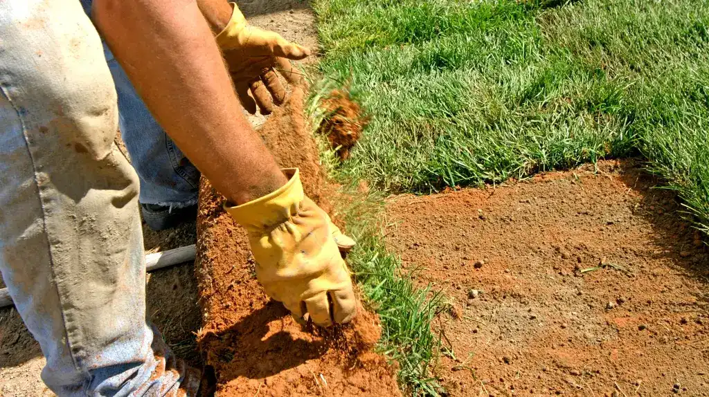 Start With a Free Landscaping SEO Audit