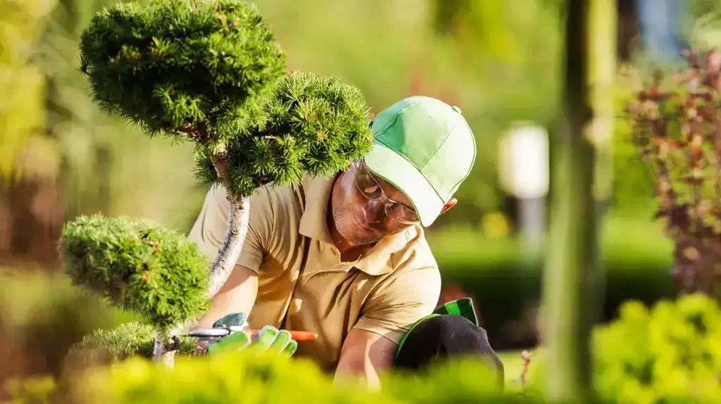 Ready to Grow Your Landscaping Business Online? Get in Touch